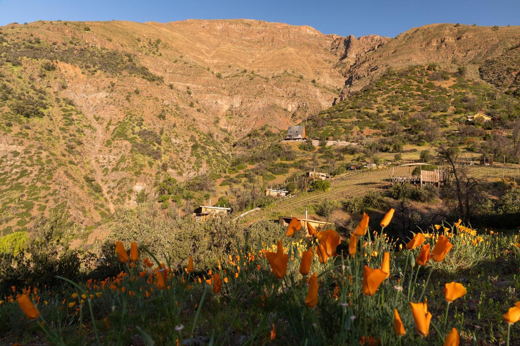 Origen Del Maipo Lodge San José de Maipo Exterior foto